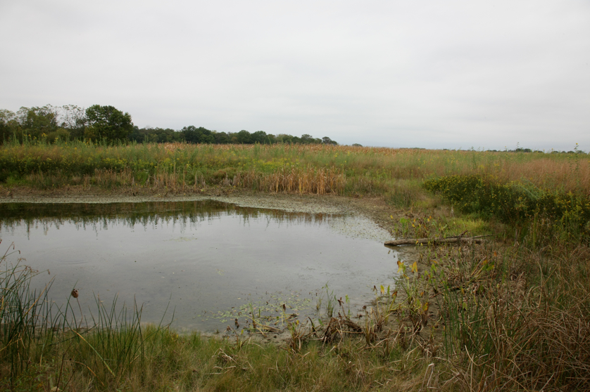 Full Size Image = 4335 K