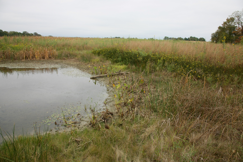 Full Size Image = 5465 K