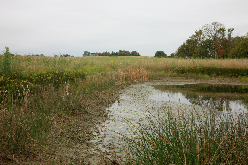 Full Size Image = 5424 K