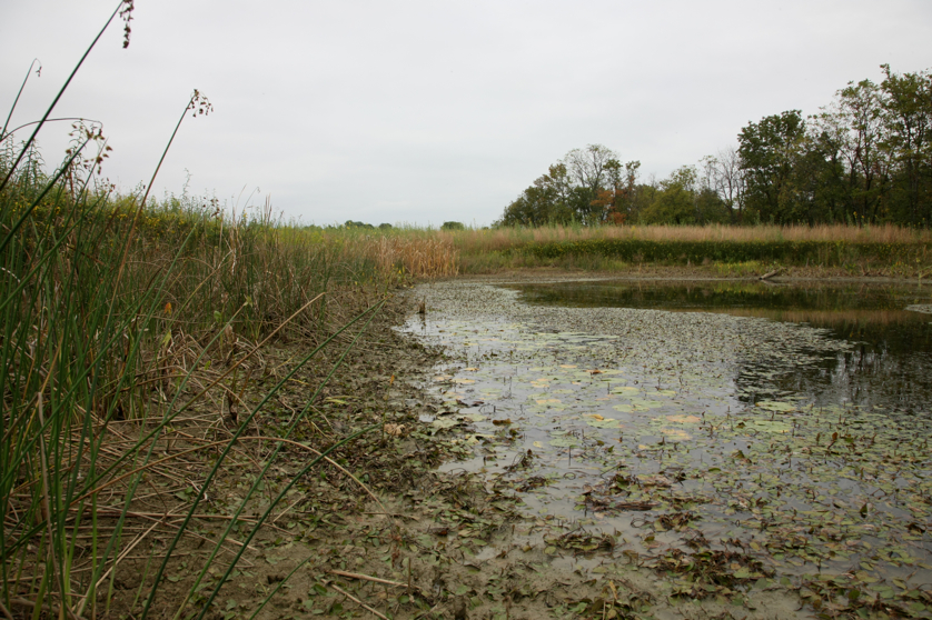 Full Size Image = 5128 K