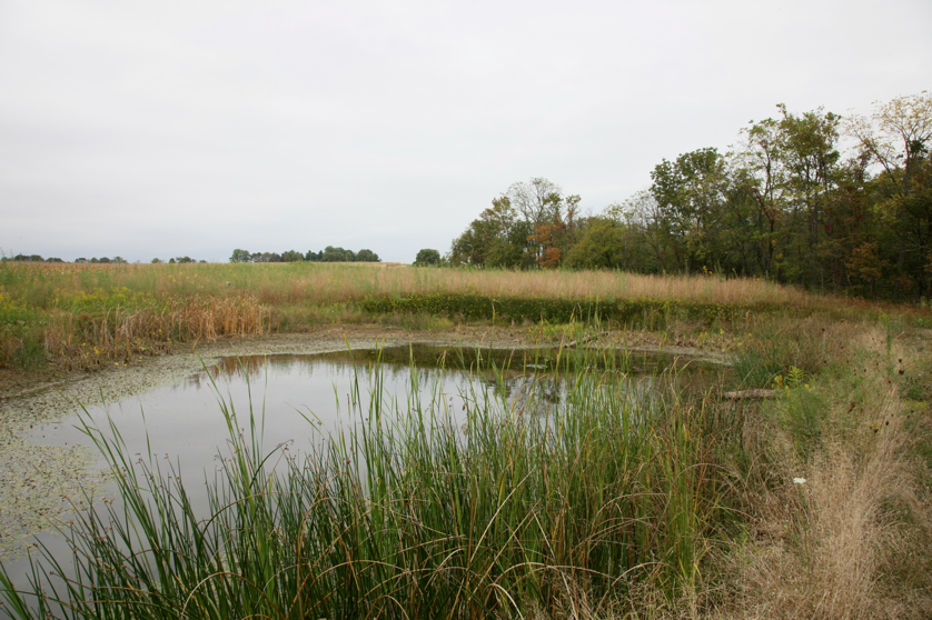 Full Size Image = 4975 K