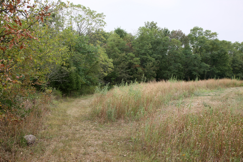 Full Size Image = 6467 K