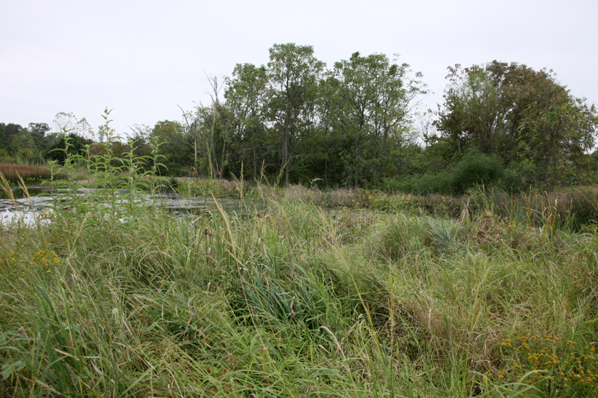 Full Size Image = 6234 K