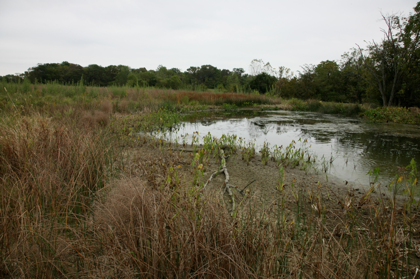 Full Size Image = 5383 K