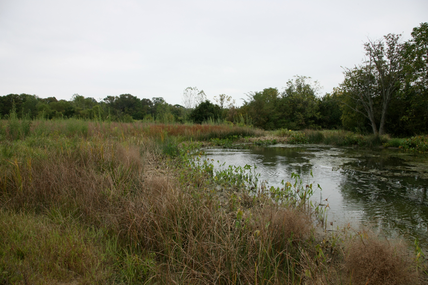 Full Size Image = 5165 K