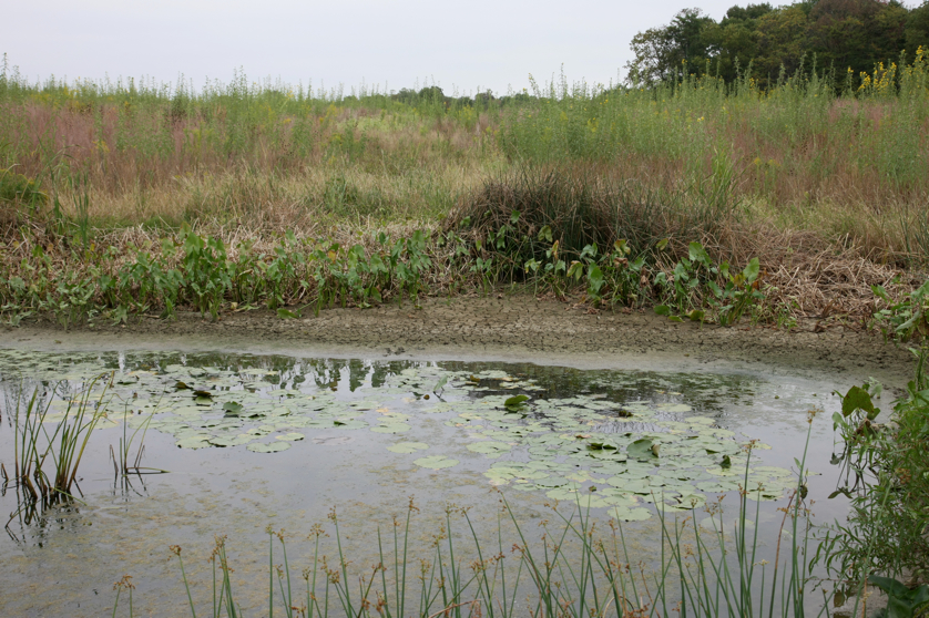 Full Size Image = 5695 K