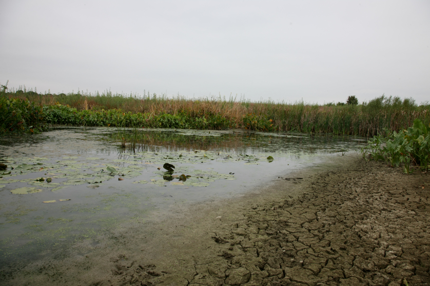 Full Size Image = 4138 K