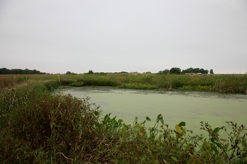 Full Size Image = 3709 K