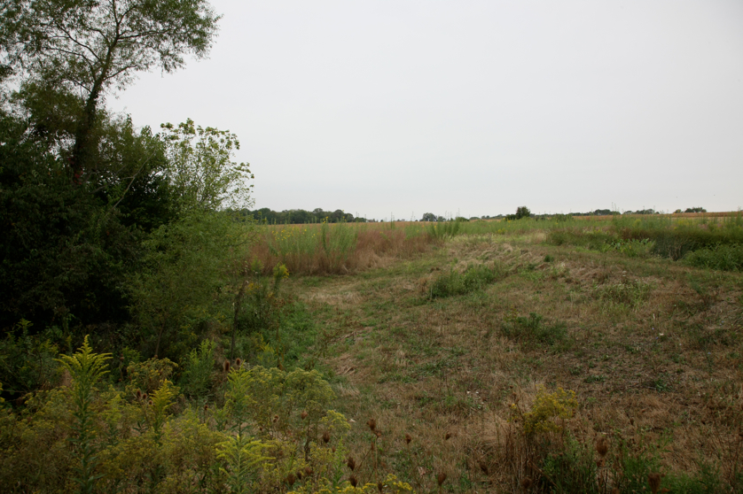 Full Size Image = 4845 K