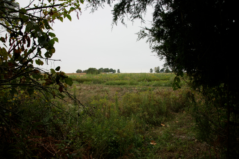 Full Size Image = 4591 K