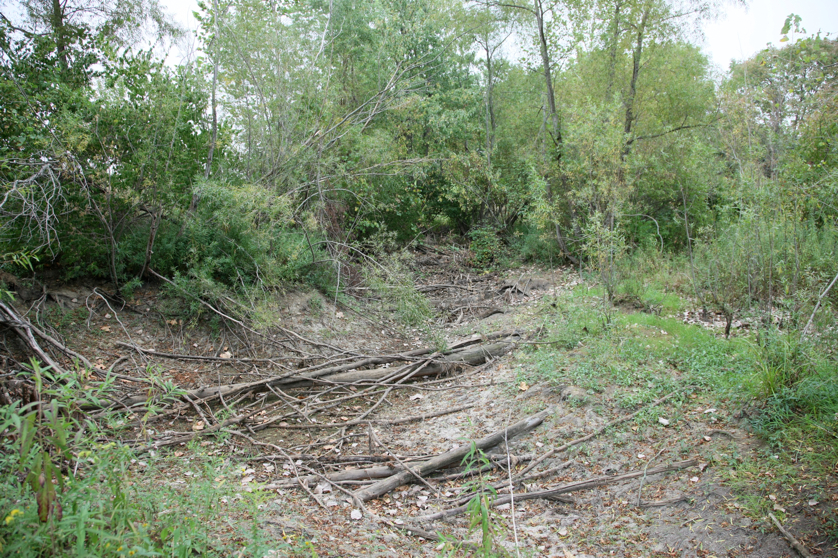 Full Size Image = 7662 K