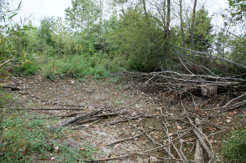 Full Size Image = 6845 K