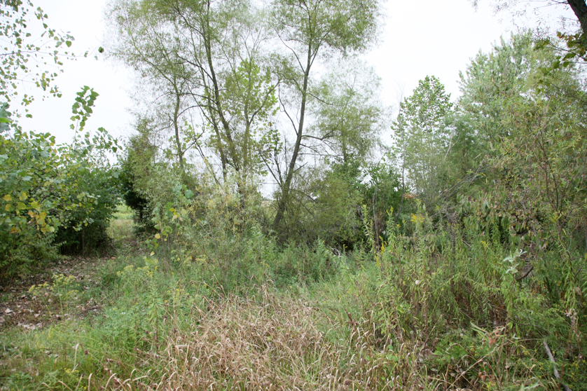 Full Size Image = 7214 K