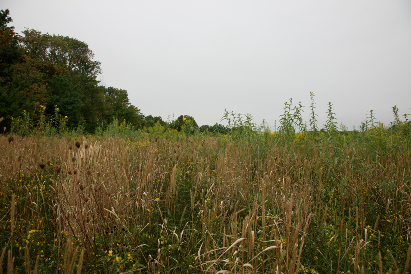 Full Size Image = 4792 K