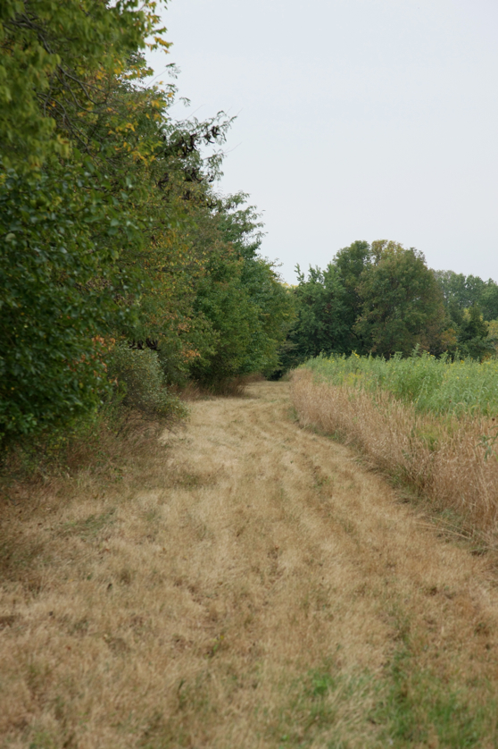 Full Size Image = 3327 K