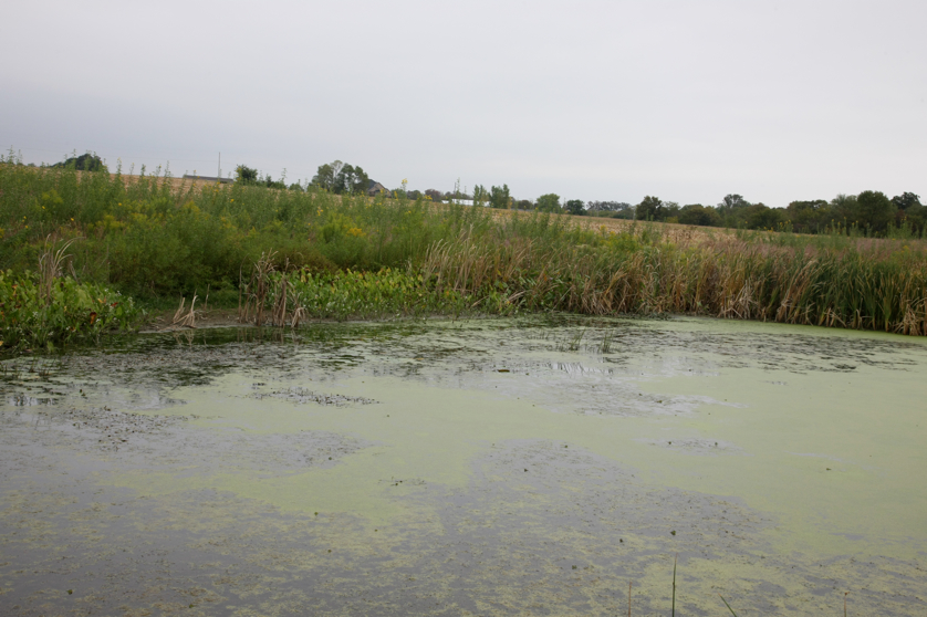 Full Size Image = 3849 K