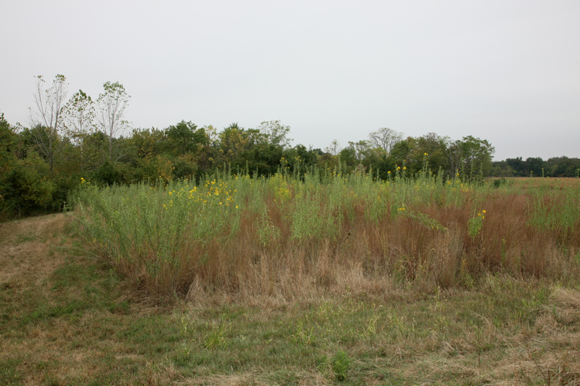 Full Size Image = 4969 K