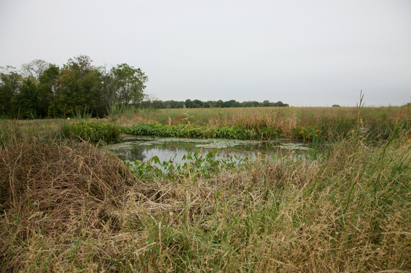 Full Size Image = 5361 K