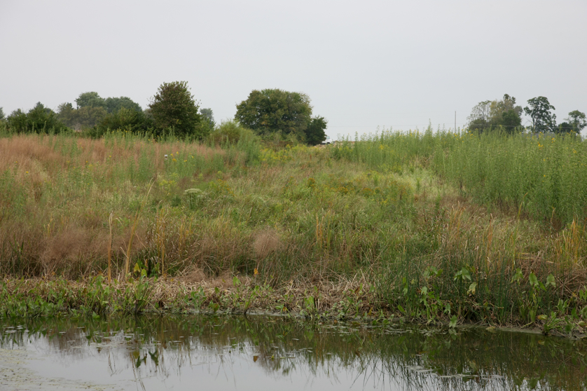 Full Size Image = 4835 K