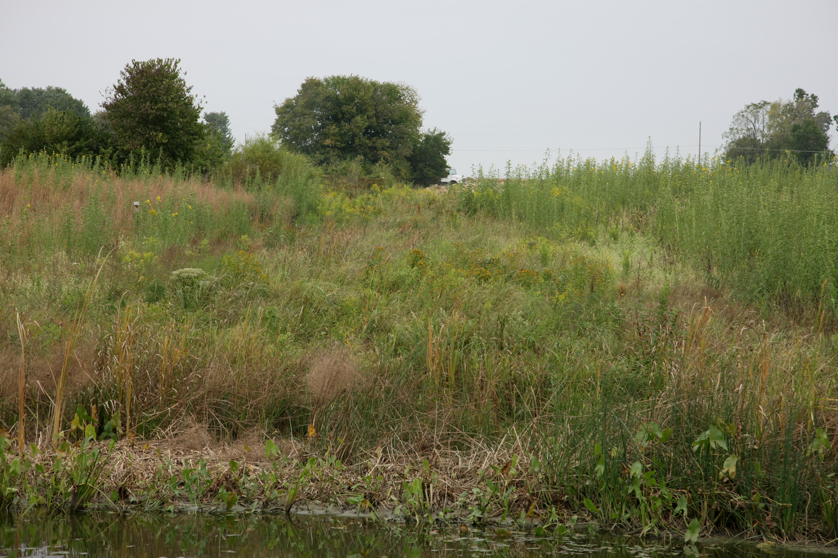 Full Size Image = 5433 K