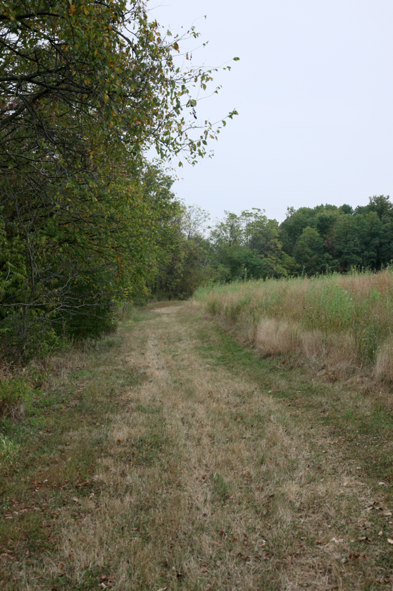 Full Size Image = 4814 K