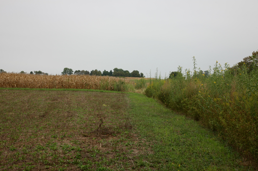 Full Size Image = 4491 K