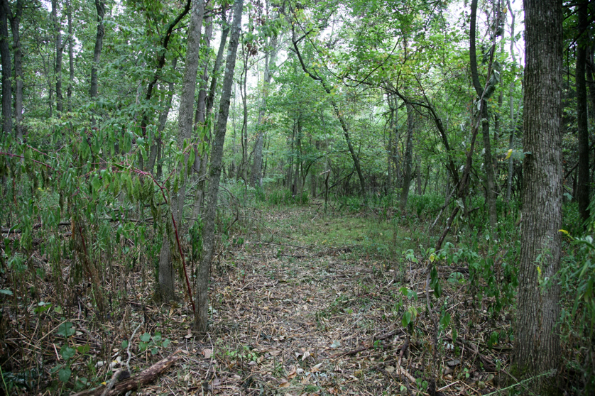 Full Size Image = 7178 K