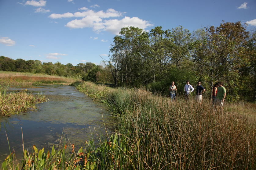 Full Size Image = 6301 K