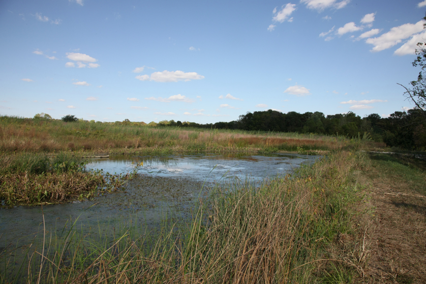 Full Size Image = 5047 K