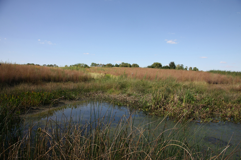 Full Size Image = 4638 K