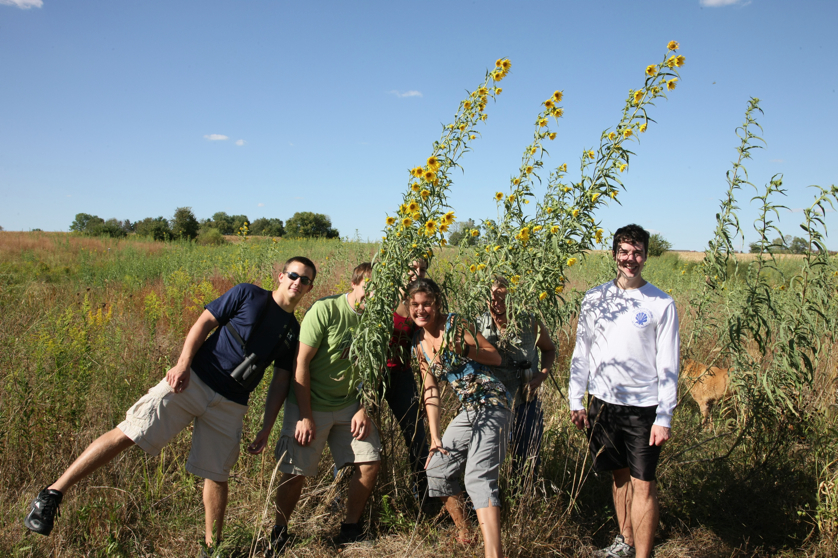 Full Size Image = 5341 K