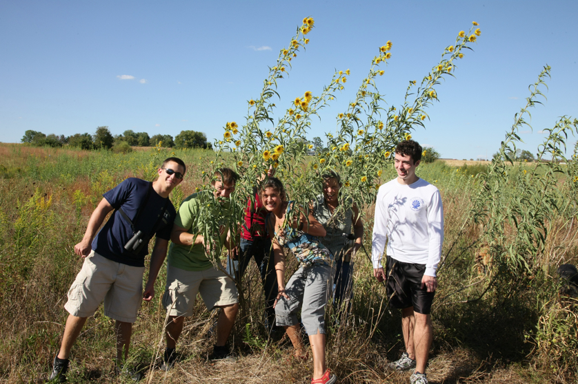 Full Size Image = 5599 K