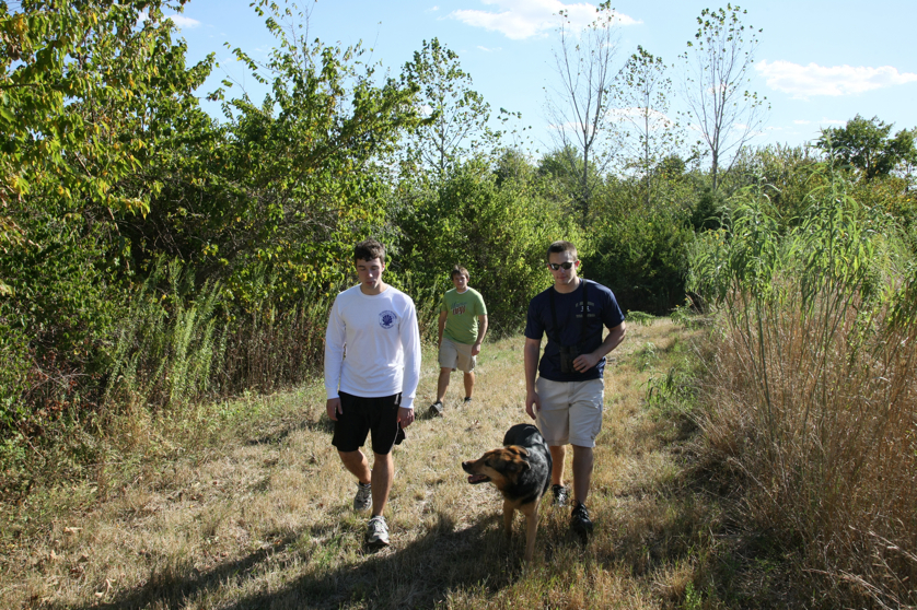 Full Size Image = 7856 K