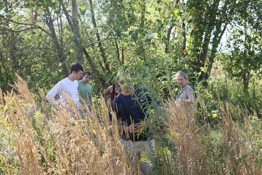 Full Size Image = 6998 K