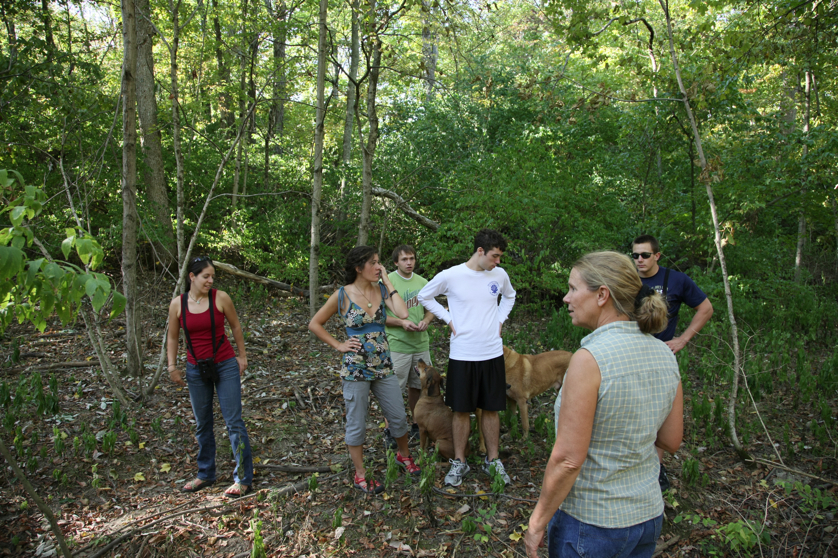 Full Size Image = 6659 K