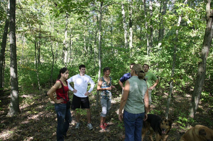 Full Size Image = 7410 K