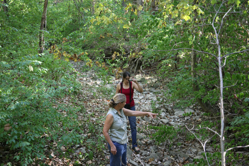 Full Size Image = 5943 K