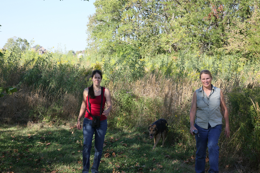 Full Size Image = 6995 K