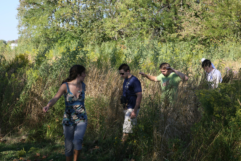 Full Size Image = 6627 K