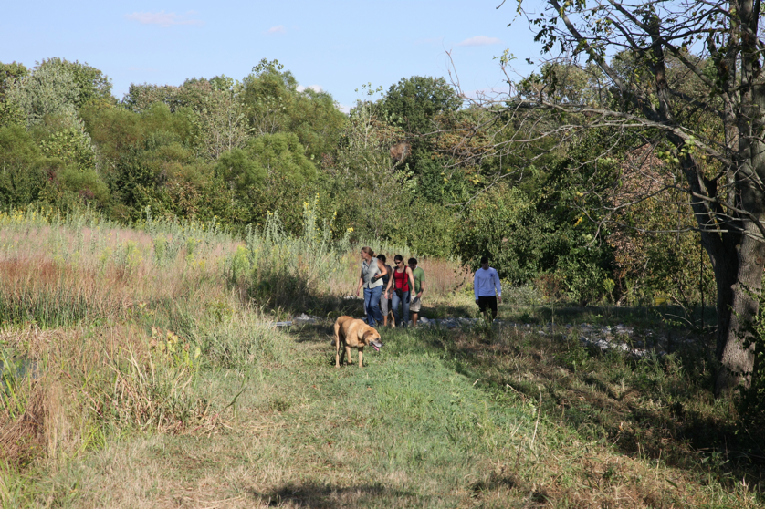 Full Size Image = 7039 K