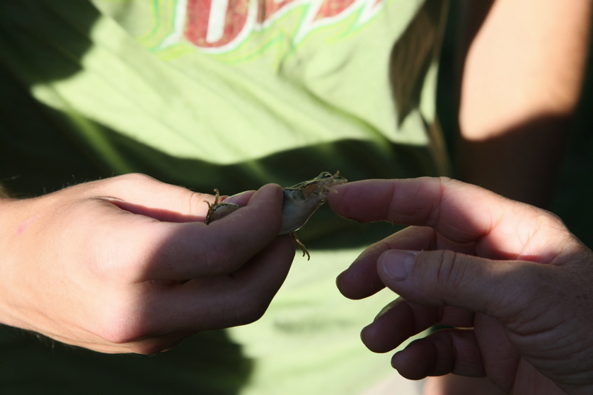 Full Size Image = 2846 K