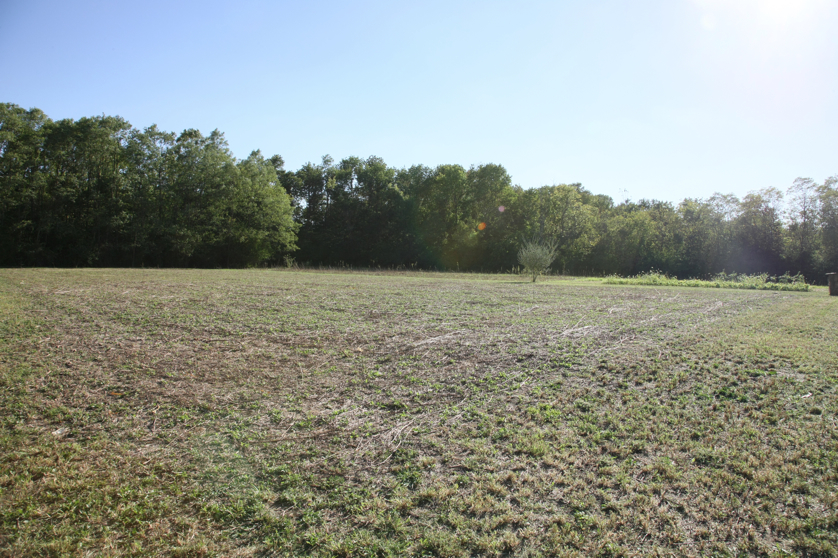 Full Size Image = 6523 K