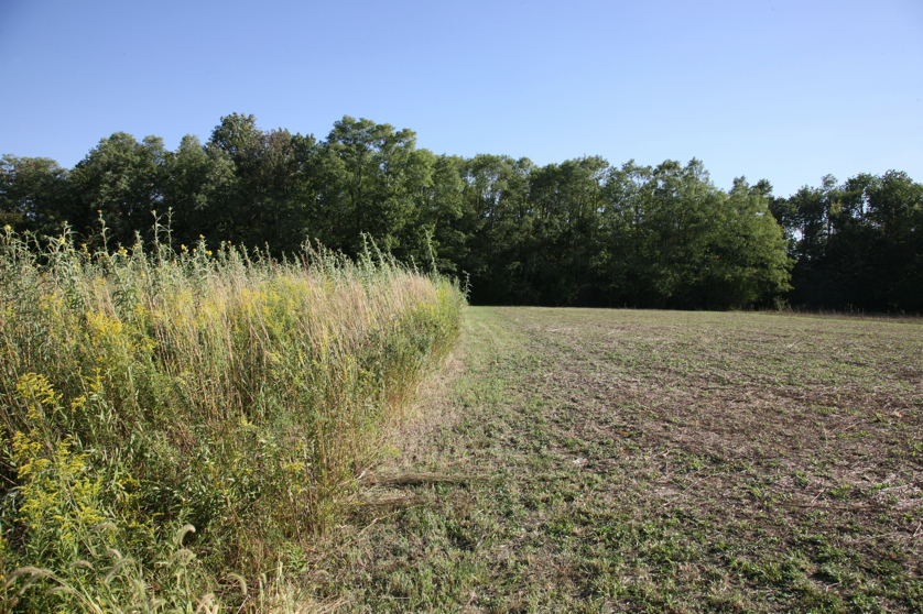 Full Size Image = 6904 K