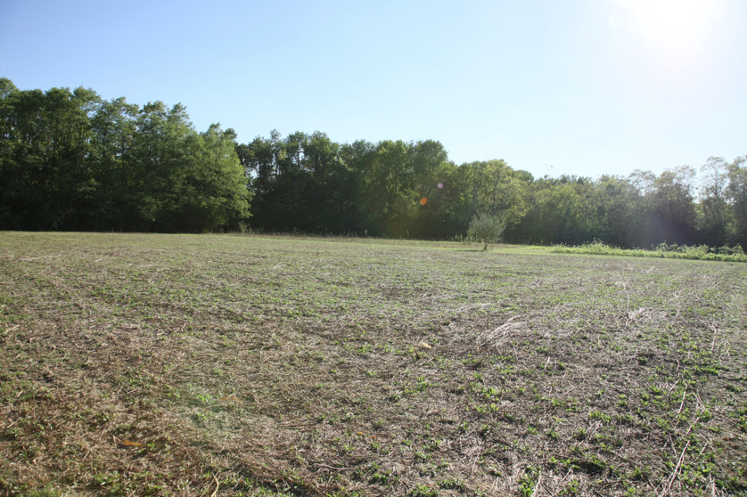 Full Size Image = 6612 K