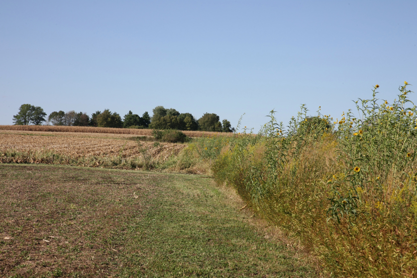 Full Size Image = 5420 K