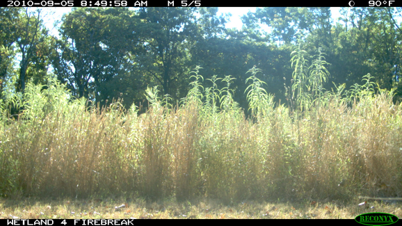 Full Size Image = 2008 K