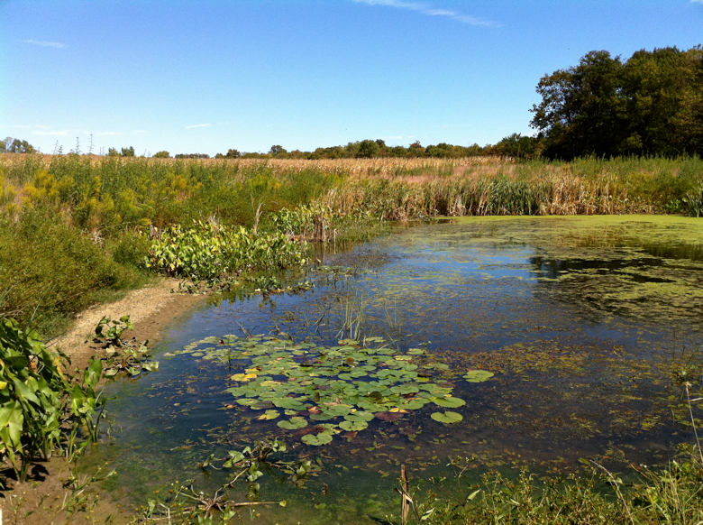 Full Size Image = 6049 K