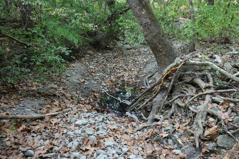 Full Size Image = 6565 K