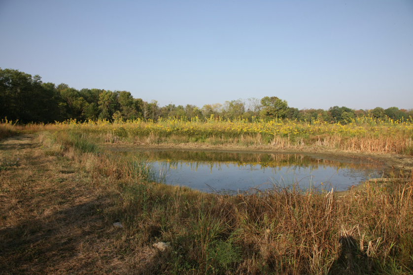 Full Size Image = 5256 K