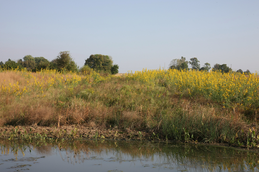 Full Size Image = 5397 K